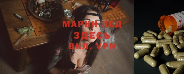 индика Баксан