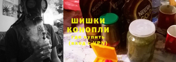 индика Баксан
