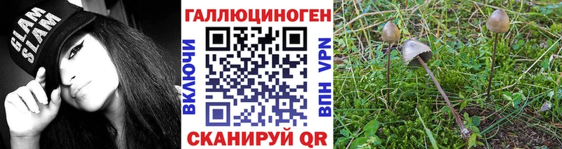 Псилоцибиновые грибы Psilocybine cubensis Новая Ляля